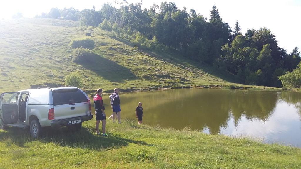 Pensiunea Drumul Voievozilor Arefu Dış mekan fotoğraf