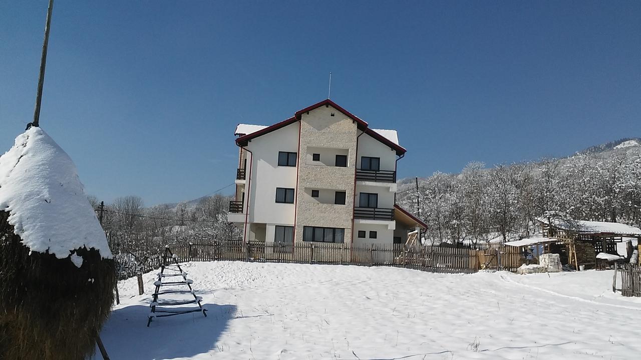 Pensiunea Drumul Voievozilor Arefu Dış mekan fotoğraf