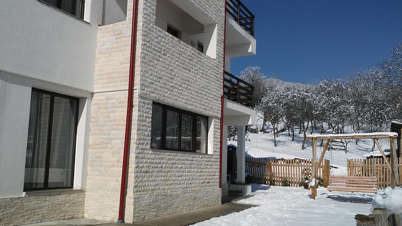 Pensiunea Drumul Voievozilor Arefu Dış mekan fotoğraf